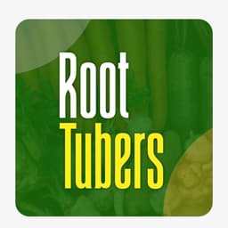 root tubers